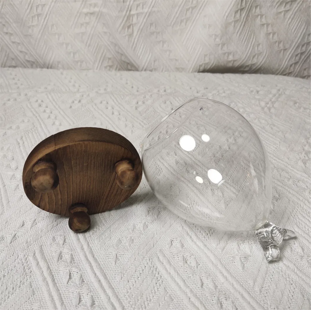 Display Decorative Large Glass Dome with Wooden Base for Christmas